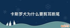 卡斯罗犬为什么要剪耳断尾