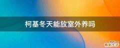 柯基冬天能放室外养吗