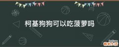 柯基狗狗可以吃菠萝吗