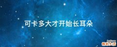 可卡多大才开始长耳朵