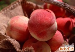 吃水蜜桃会上火吗
