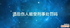 酒后伤人能受刑事处罚吗