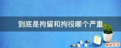 到底是拘留和拘役哪个严重