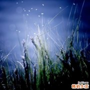 当“青春”遭遇“职场暗门”