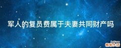 军人的复员费属于夫妻共同财产吗
