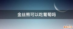 金丝熊可以吃葡萄吗