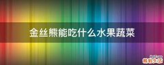 金丝熊能吃什么水果蔬菜