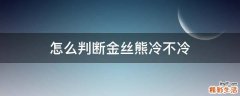 怎么判断金丝熊冷不冷