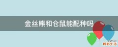 金丝熊和仓鼠能配种吗
