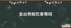 金丝熊能吃香蕉吗