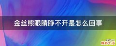 金丝熊眼睛睁不开是怎么回事