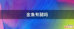 金鱼有腿吗