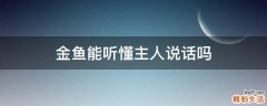 金鱼能听懂主人说话吗