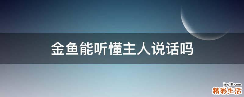 金鱼能听懂主人说话吗