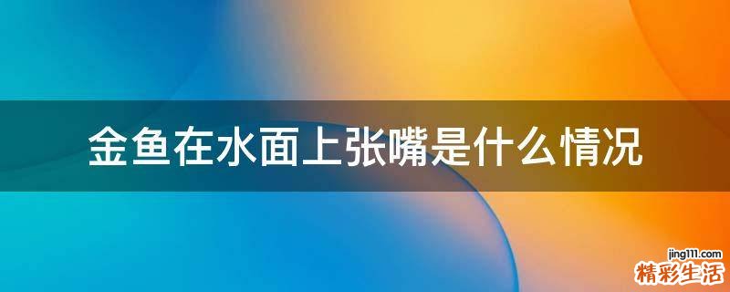 金鱼在水面上张嘴是什么情况