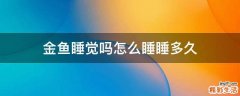 金鱼睡觉吗怎么睡睡多久