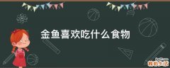 金鱼喜欢吃什么食物