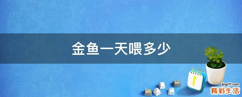 金鱼一天喂多少