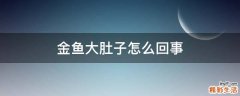 金鱼大肚子怎么回事