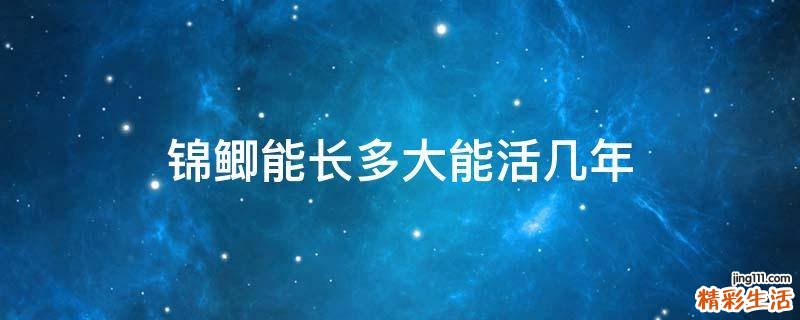 锦鲫能长多大能活几年