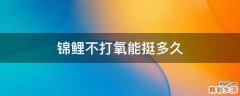 锦鲤不打氧能挺多久