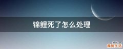 锦鲤死了怎么处理