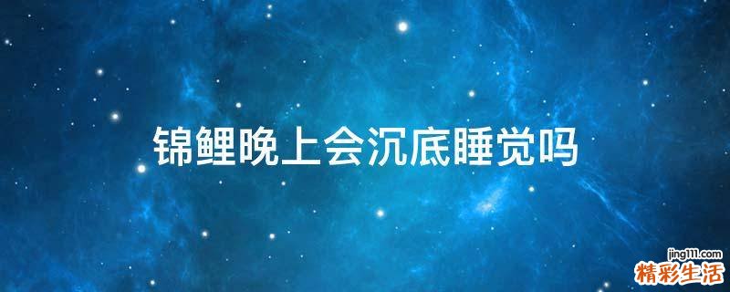 锦鲤晚上会沉底睡觉吗