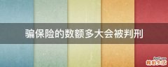 骗保险的数额多大会被判刑