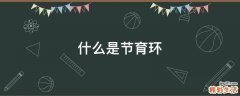 什么是节育环
