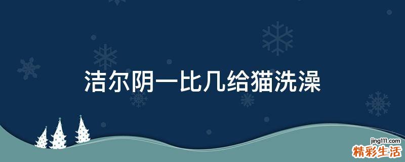 洁尔阴一比几给猫洗澡