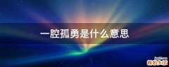 一腔孤勇是什么意思