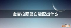 金吉拉跟蓝白能配出什么