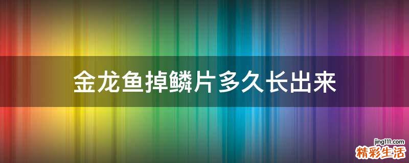 金龙鱼掉鳞片多久长出来