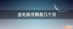 金毛换牙期是几个月