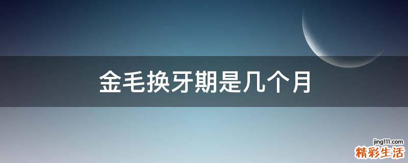 金毛换牙期是几个月