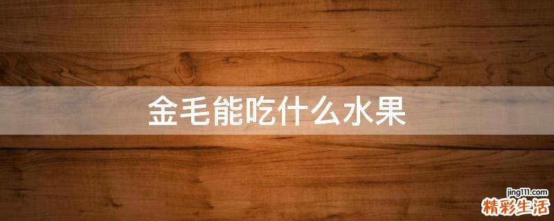 金毛能吃什么水果