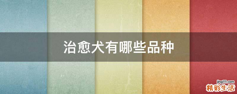 治愈犬有哪些品种
