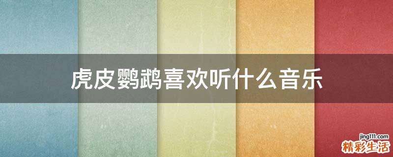 虎皮鹦鹉喜欢听什么音乐