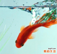 涂抹口红技巧 让你双唇性感迷人