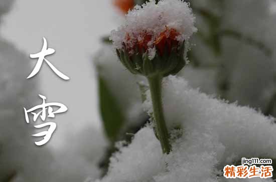 大雪节气祝福语合集15篇