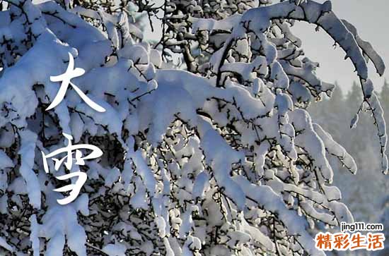 集锦15篇 大雪祝福语