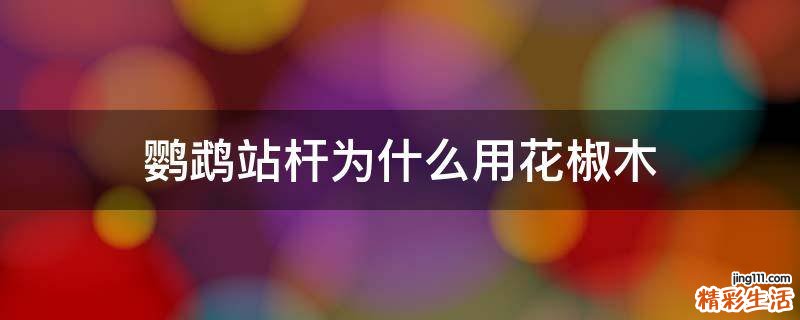 鹦鹉站杆为什么用花椒木