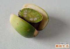 槟榔为什么女生不能吃