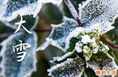 通用15篇 大雪节气祝福语