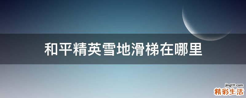 和平精英雪地滑梯在哪里