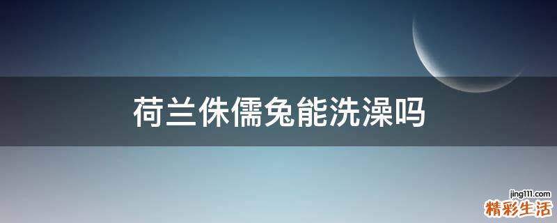 荷兰侏儒兔能洗澡吗