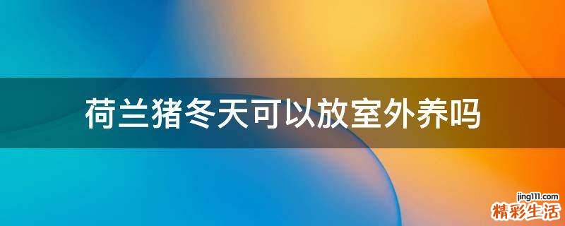 荷兰猪冬天可以放室外养吗