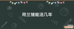 荷兰猪能活几年