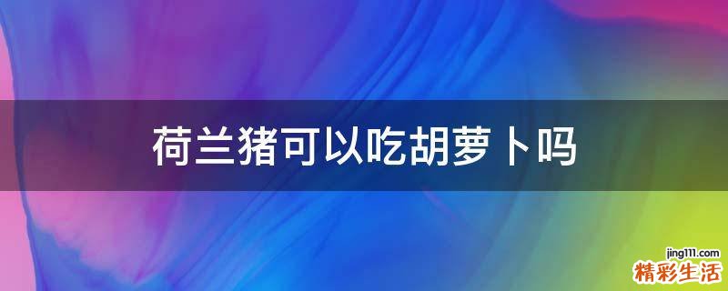 荷兰猪可以吃胡萝卜吗