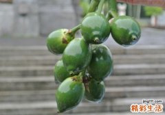 槟榔吃多了脸宽了怎么办 六招帮你搞定脸部变形